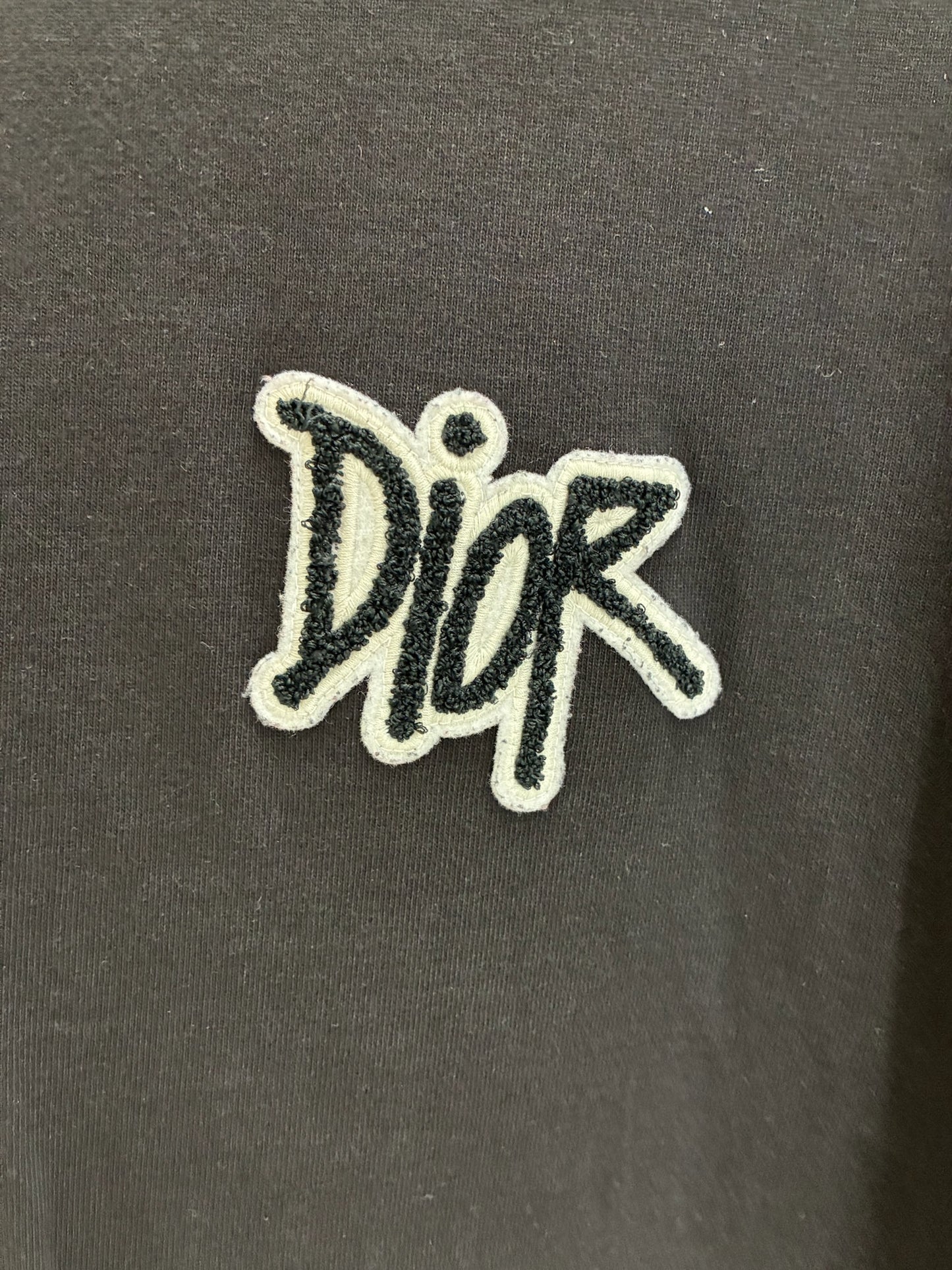 Dior X Shawn stussy T-Shirt