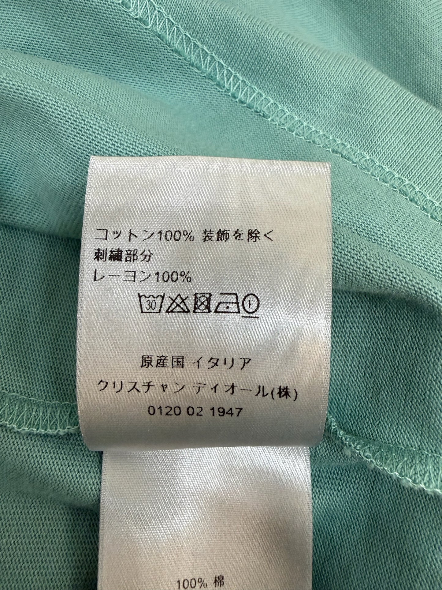 Dior CD Icon Relaxed Fit T-Shirt Sea Green
