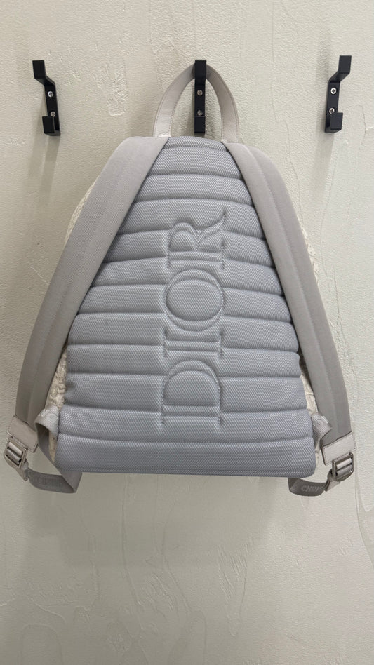 Dior White Ride Oblique Backpack