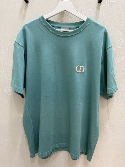 Dior CD Icon Relaxed Fit T-Shirt Sea Green