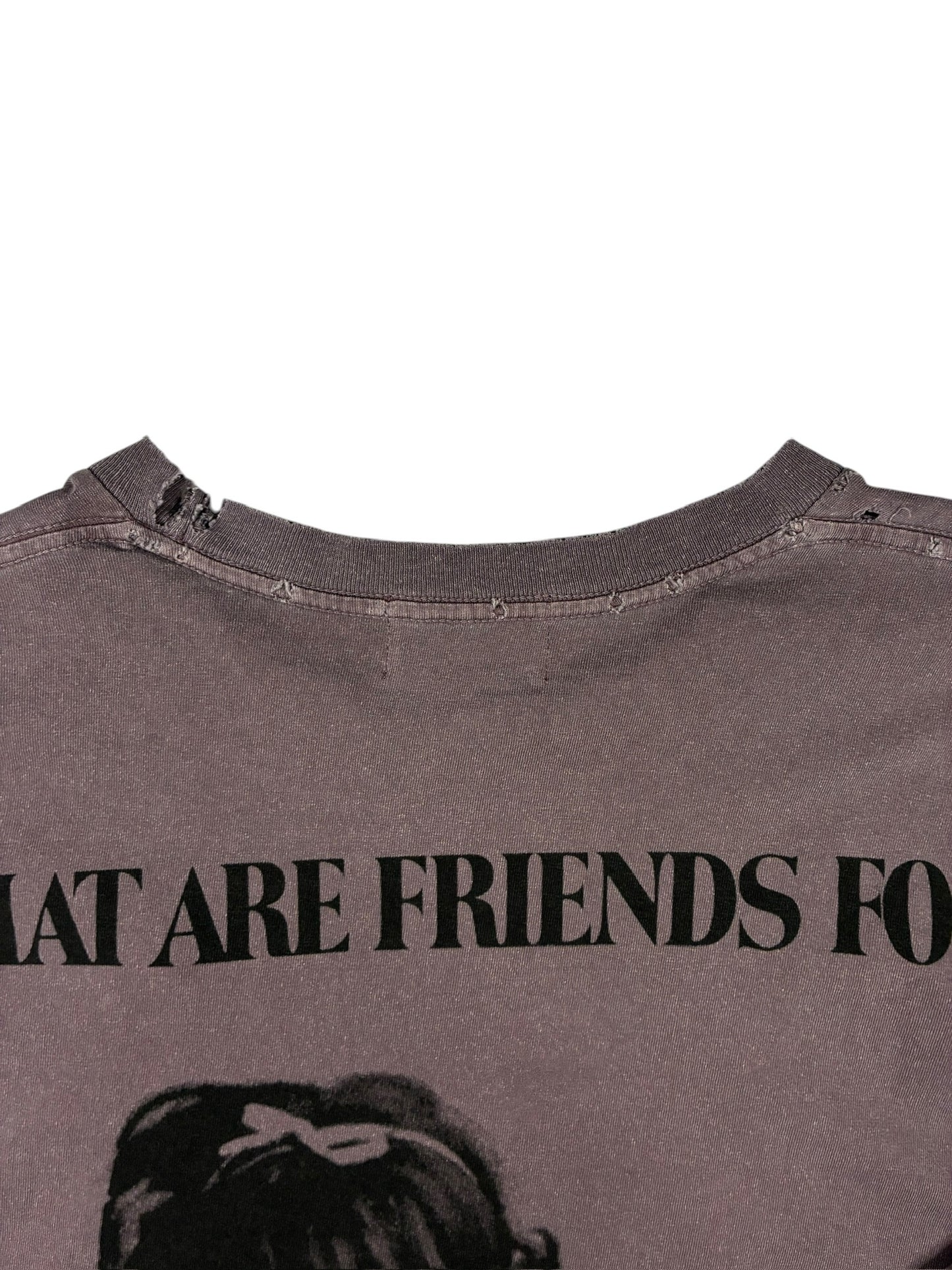 Enfants Riches Deprimes Flowers Of Anger Cropped Printed Distressed T-Shirt 'Purple'