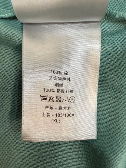 Dior CD Icon Relaxed Fit T-Shirt Sea Green