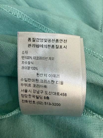 Dior CD Icon Relaxed Fit T-Shirt Sea Green